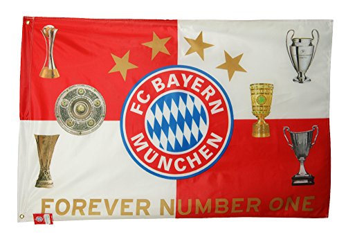 Fc Bayern München Ösen Service Pflüger Flagge Pokale Ca 100 X 150 Cm Mit 2 Ösen Fahne 